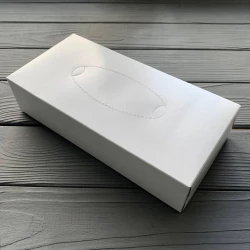 Серветки косметичні Ruta Professional 2шар білі ПЕНАЛ (100шт/уп|21уп/ящ)